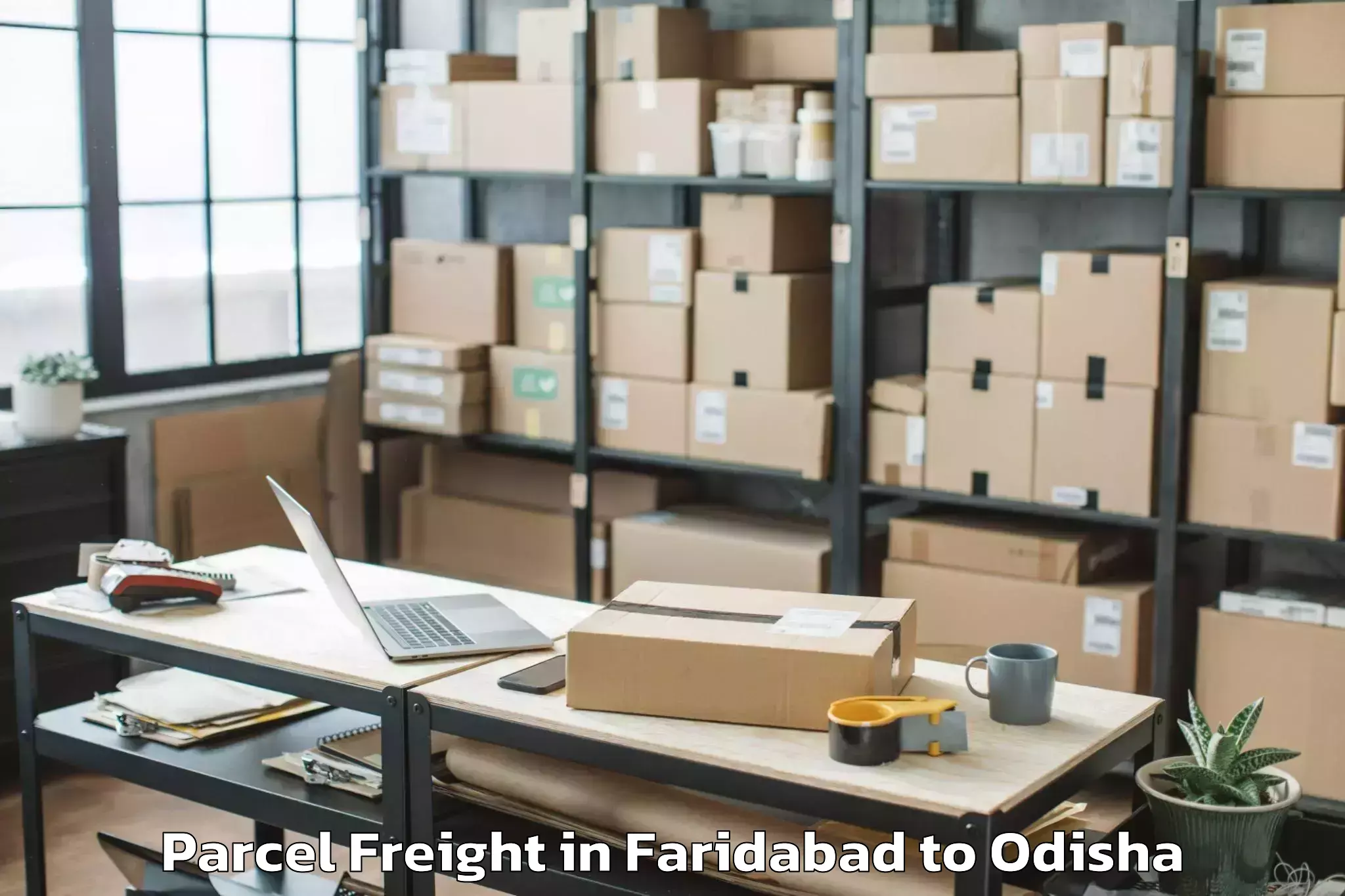 Book Faridabad to Anugul Parcel Freight